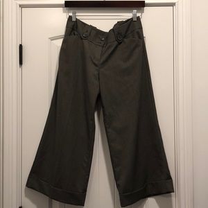 Express crop wide leg dress pants.